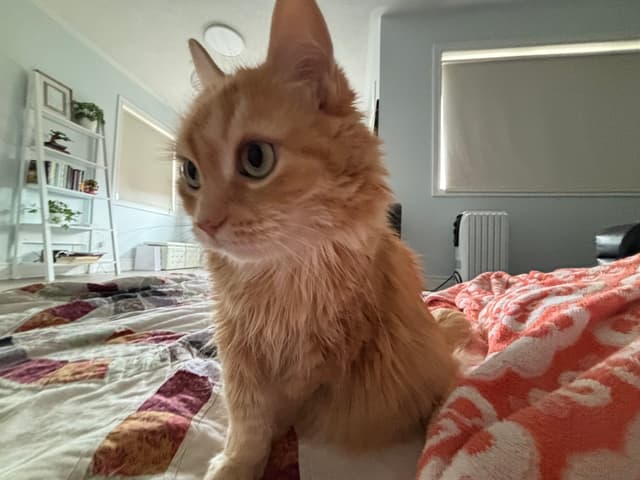 Liam's profile picture