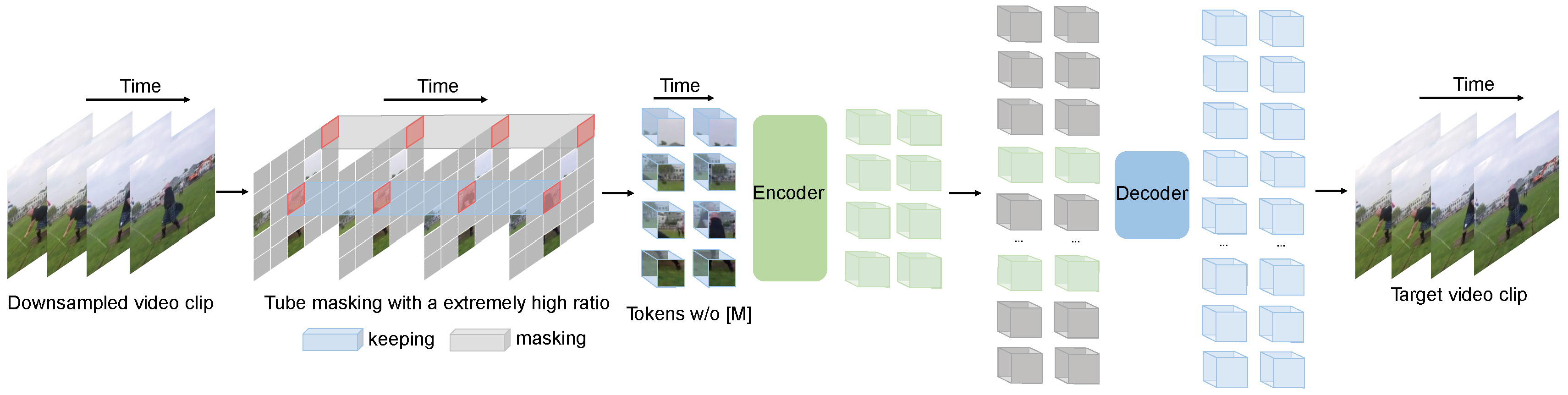 VideoMAE architecture